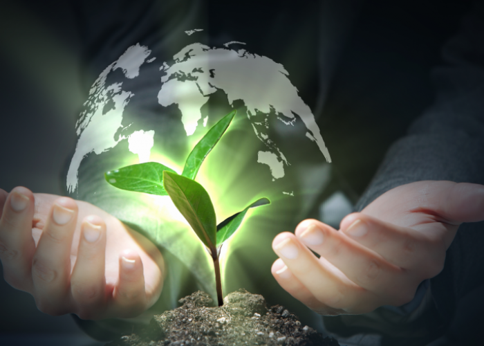 Workshop Environnement